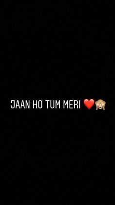 an image of two dogs with hearts in the background that says, jaan ho tum meri