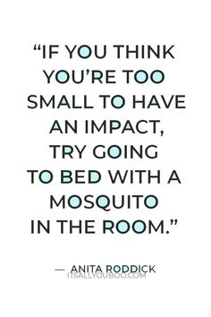 an image with the quote if you think you're too small to have an impact, try going to bed with a mosquito in the room