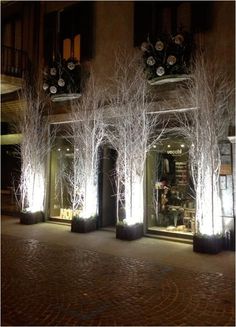 trees are lined up in front of a building at night with lights shining on them