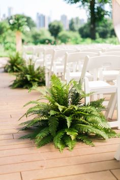 a row of white chairs sitting on top of a wooden floor