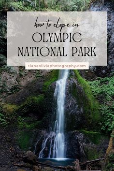 the olympic national park waterfall with text overlay reading how to explore in olympic national park