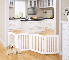 a dog laying in the middle of a kitchen with white cabinets and wooden flooring