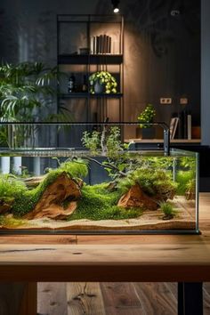 an aquarium filled with moss and rocks on top of a wooden table next to a plant