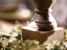 a close up of a wooden object with plants around it