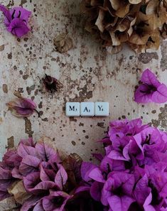 some purple flowers and two scrabbles with the word may spelled on them