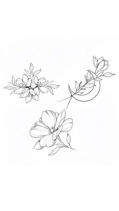 two flowers are shown in black and white on a white background, one is drawn by hand