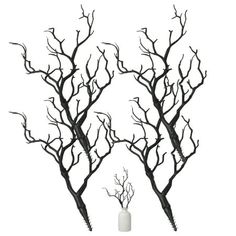 two black branches with white vases in the middle on a white background for decoration