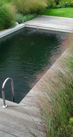 an empty swimming pool surrounded by tall grass