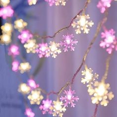 pink and white snowflakes are hanging from a branch with string lights on it