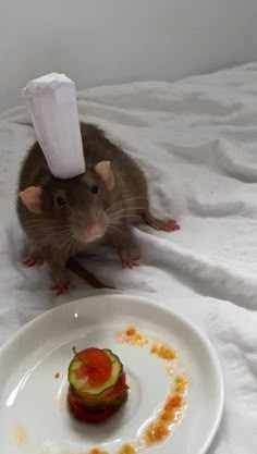 a rat sitting on top of a bed next to a plate with food on it