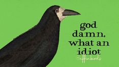 Effin Birds, Funny Birds, Life Is Hard, Funny Signs, Note To Self, I Laughed, Funny Quotes, Funny Memes, Birds