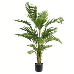 130CM Lifelike Artificial Palm Tree For Home And Image 1 Evergreen Plants, Island Vibes, Floral Decor, Palm Tree, Palm Trees, Lush, Living Spaces, Plants, Floral