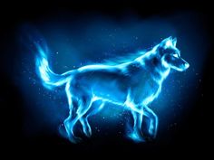 a blue fire wolf standing in the dark