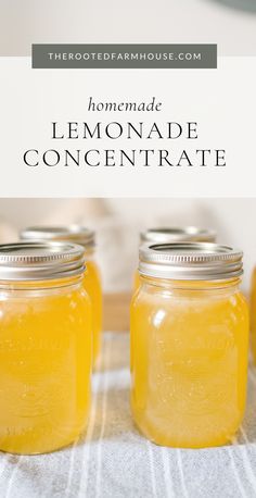 homemade lemonade concentrate in mason jars with text overlay