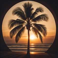 a palm tree sitting on top of a beach under a sun set over the ocean