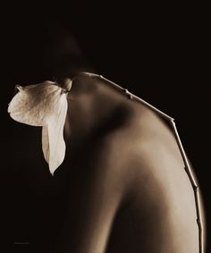 a black and white photo of a woman's back with a flower on it