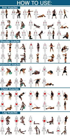 an exercise chart shows how to use the same exercises as you do in this workout