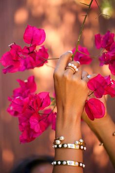 Viva Luxury, Clear Spring, Holding Flowers, Enjoy The Little Things, Bright Spring, Bougainvillea, Marie Antoinette