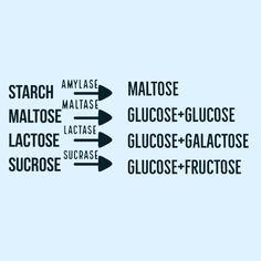 four arrows pointing in different directions with the words starch, maltasse, glucose - glactose and gloose