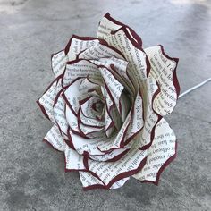 a rose made out of books sitting on the ground