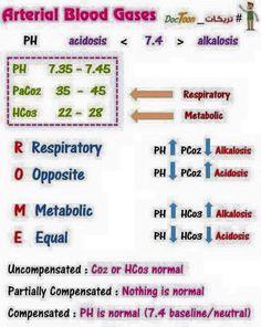 a diagram showing the different types of blood gas in each type of body and how it works