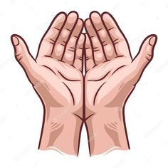 two hands folded in prayer with their palms raised up to the sky, on a white background