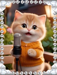 a cat wearing a sweater holding a microphone