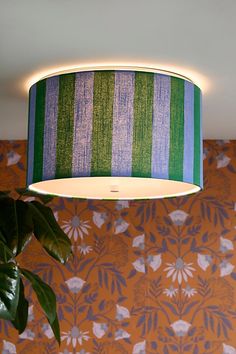 a green and blue lamp shade hanging from the ceiling above a potted plant in front of a wallpapered wall