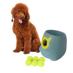 ptlsy Automatic Dog Ball Launcher Interactive Puppy Pet Ball Indoor Thrower Machine for Small and Medium Size Dogs, 3 Balls I Dog Ball Launcher, Medium Size Dogs, Ball Launcher, Dog Toy Ball, Dog Ball, Interactive Dog Toys, Medium Sized Dogs