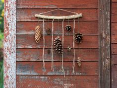 some pine cones hanging on the side of a building