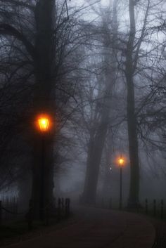 a street light in the middle of a foggy park with trees on either side