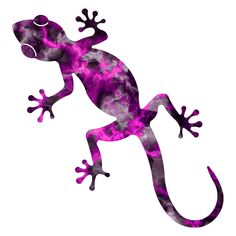 a purple and black gecko silhouetted against a white background