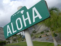 a green street sign that says aloha on the side of a road with palm trees in the background