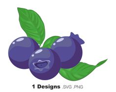 three blueberries with green leaves on them and the words 1 designs svg png