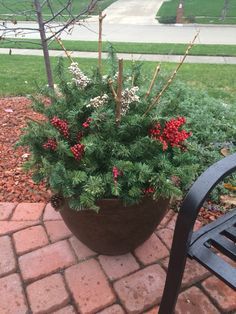 a potted plant sitting on top of a brick walkway next to a park bench