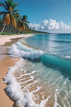 an ocean beach with palm trees and waves