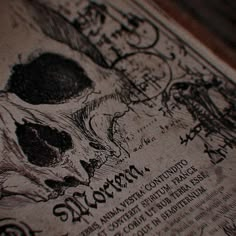 a close up view of a skull on a piece of paper with writing underneath it