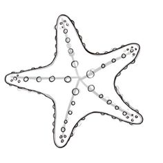 a drawing of a starfish on a white background