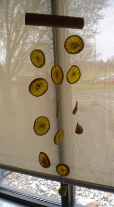 the sun is shining through the window and there are orange slices hanging from the blinds