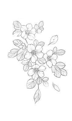 a drawing of some flowers on a white background