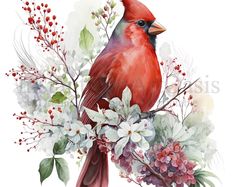 a watercolor painting of a cardinal sitting on a branch with flowers