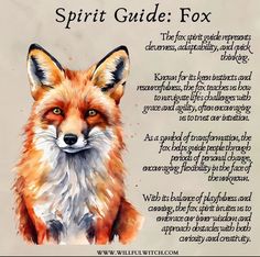 Animal Omens, Fox Symbolism, Pagan Aesthetic, Summoning Spells, Shadow Book, Pagan Spirituality, Healing Spirituality, Fox Spirit, Energy Healing Spirituality