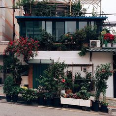 an apartment building with plants growing on the windows