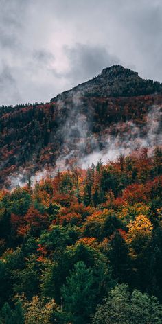 the mountains are covered in colorful trees and mist rising from the forest's top