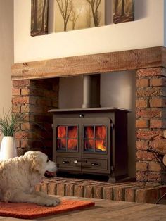 a wood burning stove in a living room next to a pile of logs and a potted plant