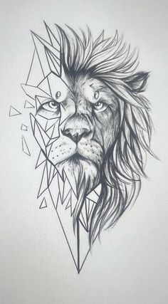 a drawing of a lion's face with geometric shapes on the back of it