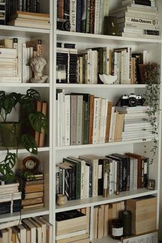 a bookshelf filled with lots of books next to a potted plant on top of a table