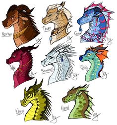 an image of different types of dragon heads