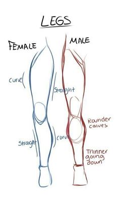 the legs and ankles are labeled in this drawing, which shows how to draw them