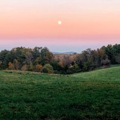 the sun is setting over a grassy field with trees in the distance and hills to the side